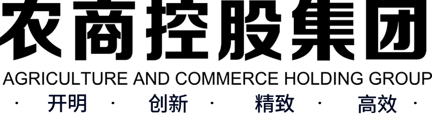 中經(jīng)國(guó)際招標(biāo)集團(tuán)有限公司